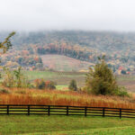 Virginia countryside
