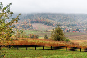 Virginia countryside